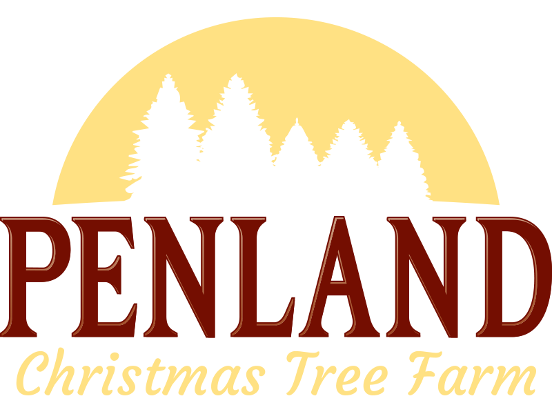 Penland Christmas Tree Farm – Real Trees Make Real Memories